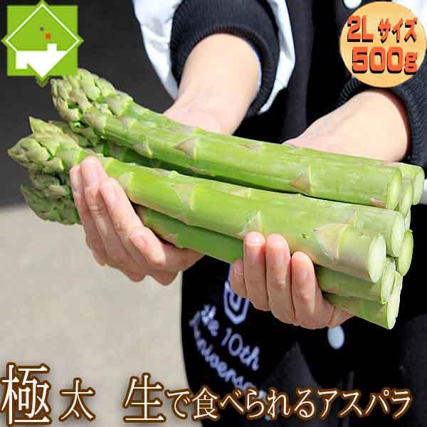 アスパラガス 北海道 富良野産 グリーン 2Lサイズ 500ｇ 送料無料