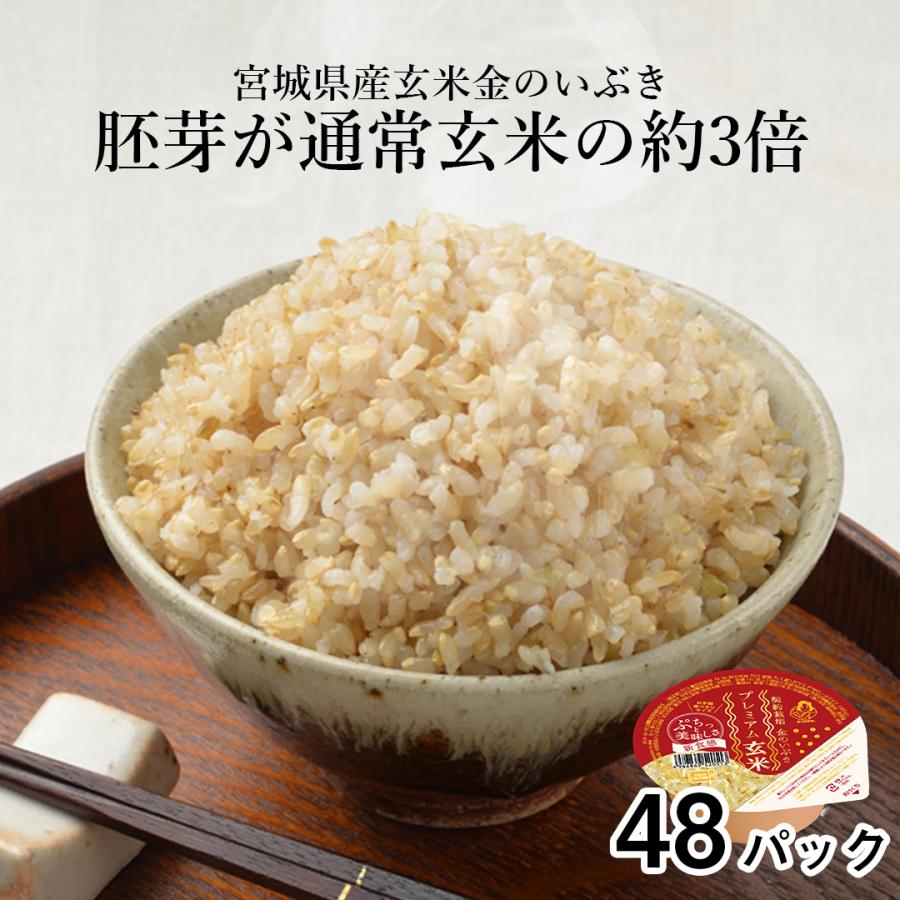 ご飯パック 金のいぶき玄米48個セット 120g おくさま印 お米 レトルト 無添加 国産 レンジで簡単 温めるだけ 還暦 寒中 暑中見舞い 送料無料