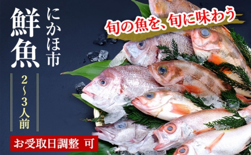 開けたらすぐ食べられる日本海の鮮魚詰合せ（2～3人前）(魚介 下処理済み 詰め合わせ セット)