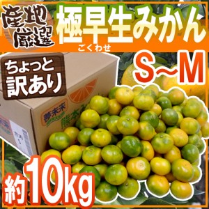 ”極早生みかん” ちょっと訳あり S～Mサイズ 約10kg 送料無料