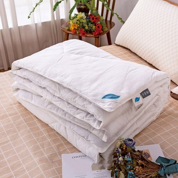 【福利版】石墨烯Dacron抗菌蓄熱雙面用冬被 / 單人5X7尺