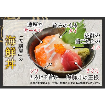 ふるさと納税 海鮮丼の具5種盛り（マグロ・サーモン・タイ・イカ・ブリ）60g（タレ付）× 5人前【.. 福井県鯖江市