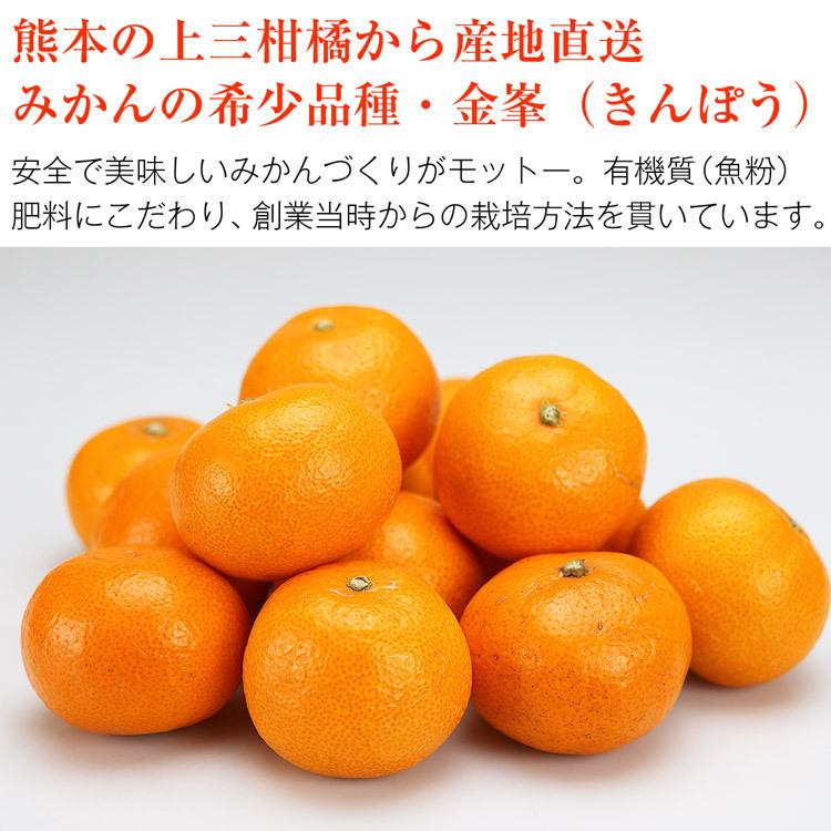 金峯みかん 5kg 熊本県産 秀 完熟 熊本みかん M L 2Lサイズおまかせ 希少 きんぽう 金峰 蜜柑 ミカン 常温便 同梱不可 指定日不可 産直