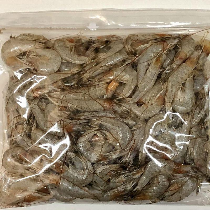 有明海産 芝えび １ｋｇ 冷凍発送