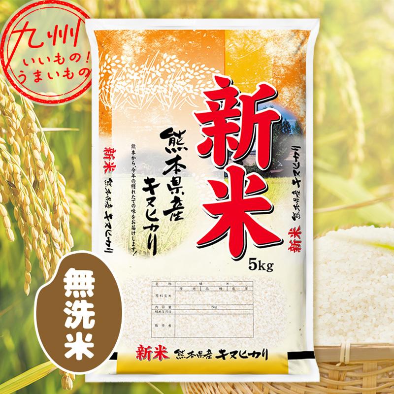 令和5年産 熊本県産 無洗米 キヌヒカリ 5kg 米 精米 白米 お米 こめ 熊本 熊本の米 産地直送 送料無料