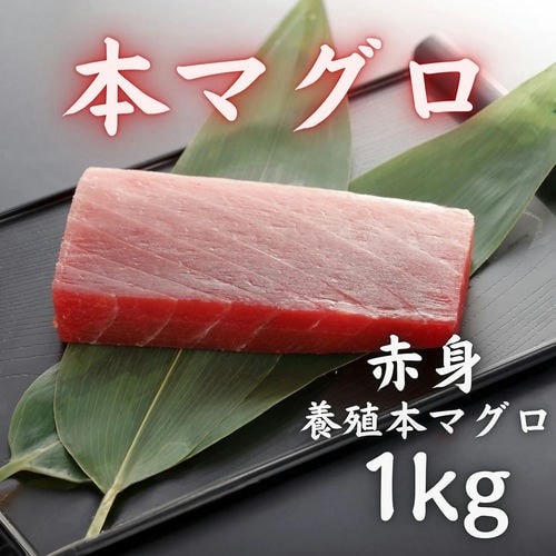 本マグロ 赤身 1kg