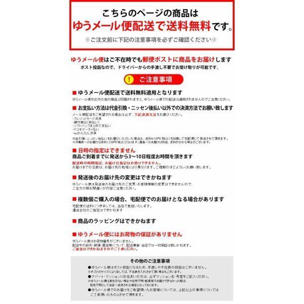 ドライマンゴー ドライフルーツ マンゴー ドライ 不揃い タイ産 500g  