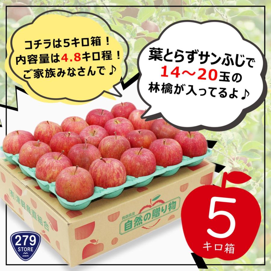 只今発送中！産地直送♪ 糖度13度以上 葉とらずサンふじ A品 5キロ箱 14〜20玉 内容量 約4.8キロ 津軽産直組合直送 津軽りんご 青森県産