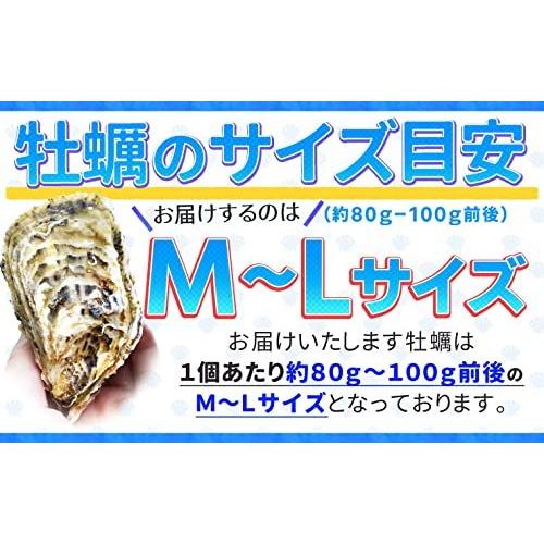 牡蠣 カンカン焼き セット Ｍ〜Ｌサイズ ２０個入 冷凍牡蠣 旬凍 産地厳選 ミニ缶入（牡蠣ナイフ・片手用軍手