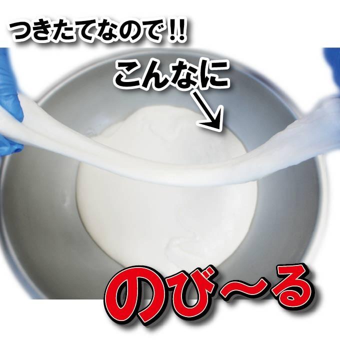 送料無料お正月用のし餅杵つきのしもち1枚当2kg  ※2枚同時購入でもう1枚プレゼント　一等米使用　製造後即日出荷お餅一升餅 切り餅