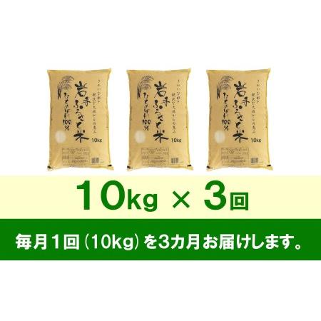 ふるさと納税 3人に1人がリピーター!☆全3回定期便☆ 岩手ふるさと米 10kg×3ヶ月 令和5年産 新米 一等米ひとめぼれ 東北有数のお米の産地 .. 岩手県奥州市