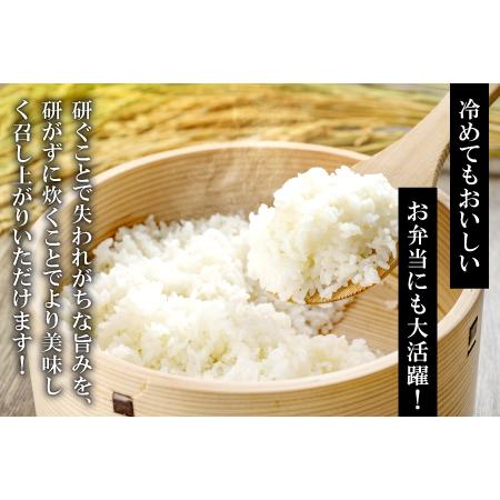 ふるさと納税 さんべ浮布米（無洗米）定期便（5kg×5回コース）【令和5年産 2023年産 定期便 5回 特別栽培米 コシヒカリ 無洗米 5kg×5.. 島根県大田市