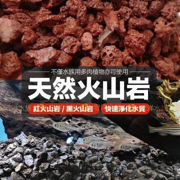 宏洋水族【紅色、黑色火山砂／火山岩】火山石/蘇蝦/多肉植物/底砂/水草/濾材/過濾/螯蝦/米蝦/造景底砂/水族過濾底材