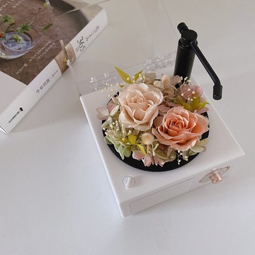 永生花黑膠唱片藍芽音響