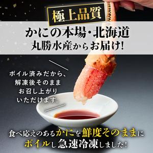 ふるさと納税 訳あり ズワイガニ 爪 600g 冷凍 ボイル　ずわいがに ずわい蟹 カニ かに 蟹 しゃぶしゃぶ カニしゃぶ  サイズ違い 不.. 北海道登別市