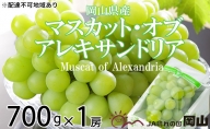 マスカット・オブ・アレキサンドリア 約700g×1房 ぶどう 葡萄 岡山県産 2023年