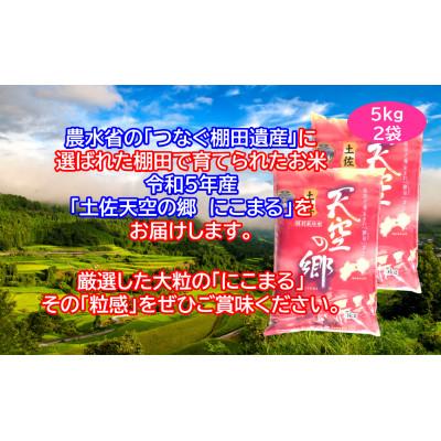 ふるさと納税 本山町 ★令和5年産★ 本山町の棚田で育てられた 土佐天空の郷　にこまる　10kg