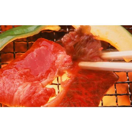 ふるさと納税  但馬牛 焼肉 5種 食べ比べ 計1,000g[ 牛肉 お肉 ブランド牛 焼き肉 キャンプ BBQ アウトドア バーベキュー 霜降り 赤身 ギフト 兵庫県福崎町