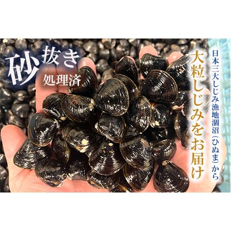 ふるさと納税 涸沼産 大粒 冷凍 シジミ 3.2kg （400ｇ×8袋） しじみ 蜆 大和しじみ ヤマトシジミ 大玉 砂抜き済 冷凍 味噌汁 スープ 魚貝類.. 茨城県大洗町