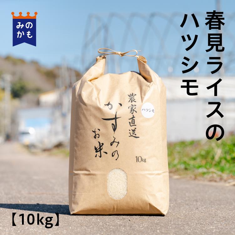 お米 白米 岐阜県産ハツシモ10kg 春見ライスのお米 送料無料 清流