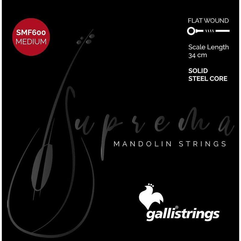 Gallistrings   SMF600 Medium マンドリン弦 .010-.033