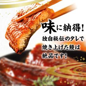 ふるさと納税 国産うなぎ蒲焼　100ｇ×3尾_Cu025 福岡県久留米市