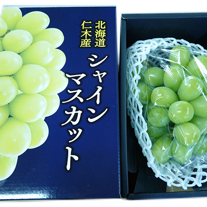 先行受付 2024年10月から順次出荷 北海道 仁木町産 シャインマスカット厳選品 500g以上  松山商店