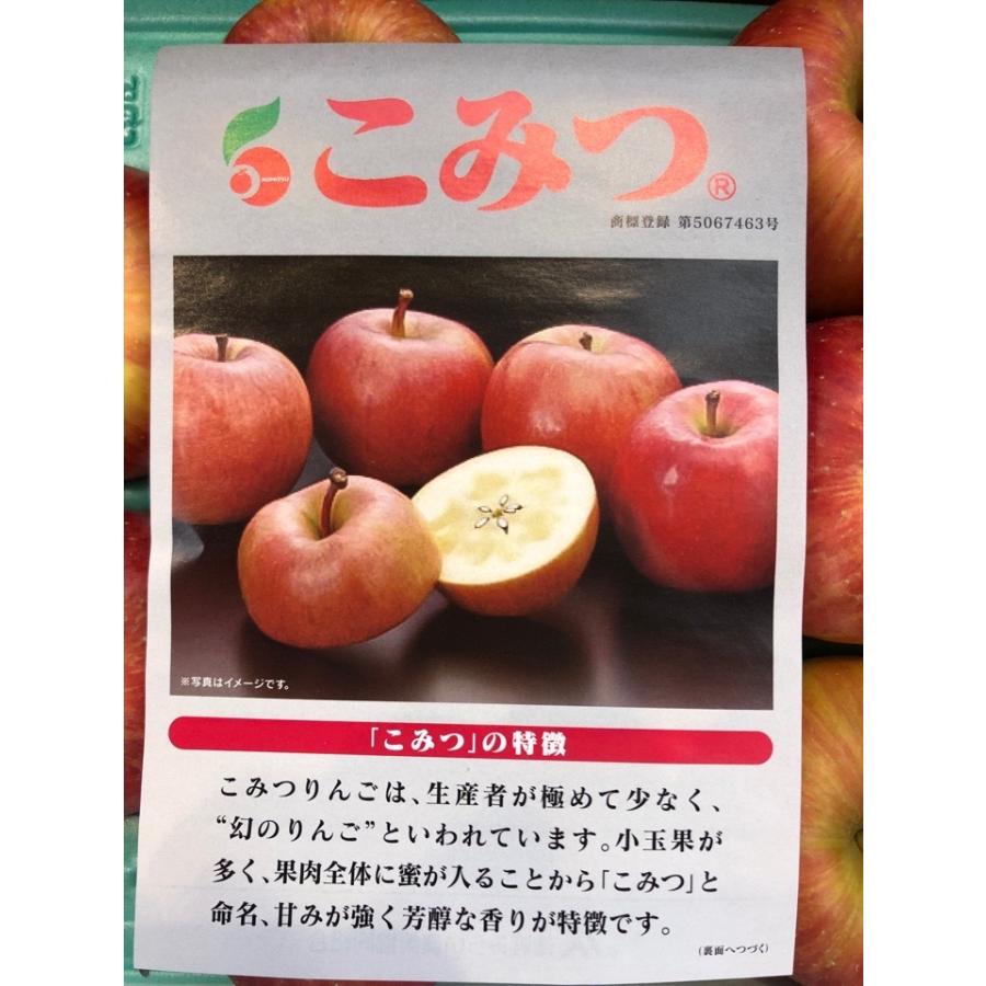 お歳暮　りんご こみつ 青森産 秀A 蜜入り 10〜13入り