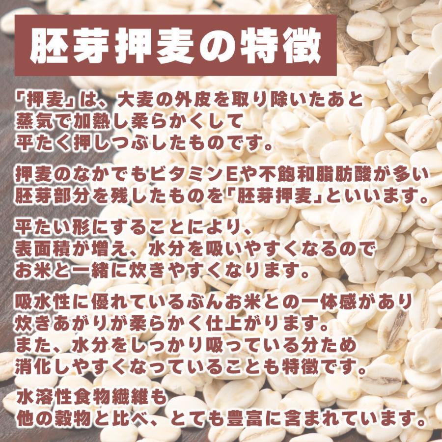 セール 国産 もち麦 9kg(450g×20袋) （翌日発送） 無添加 無着色 雑穀 雑穀米 ダイエット 置き換え 食品 食物繊維 送料無料