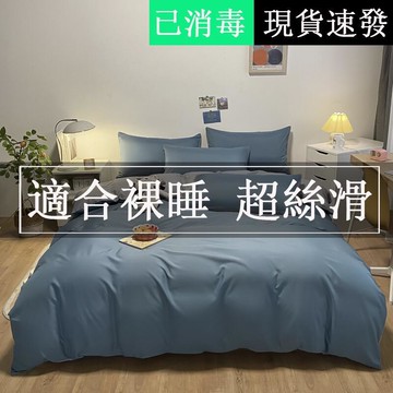 頂級裸睡 天絲床包組 北歐單人加大床包 清新素色床包/加大床罩/雙人床包組/被套/四件組 真絲床包 日式被單