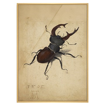 菠蘿選畫所 鍬形蟲 杜勒 AVAR3466D  40 x 30cm  木色