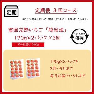 ふるさと納税 いちごの定期配送　雪国完熟いちご越後姫170g×2全3回 新潟県上越市