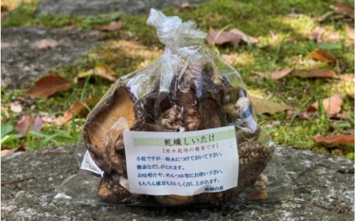 乾燥しいたけ　10袋（合計300g）    田辺市 しいたけ シイタケ 椎茸 乾燥