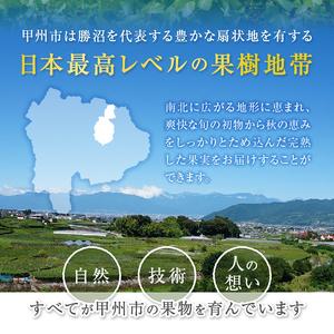 ふるさと納税 人気品種指定約1kg（３玉）（PMK）B17-106 山梨県甲州市