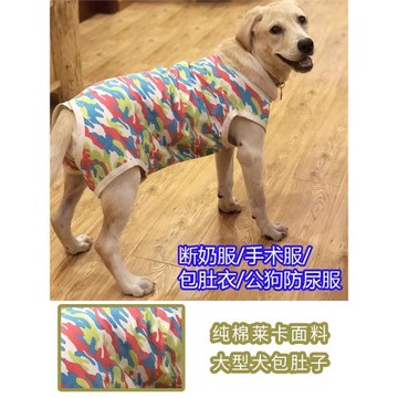 大型犬拉拉金毛狗狗包肚衣服金毛薩摩母狗斷奶服護肚子衣服絕育服