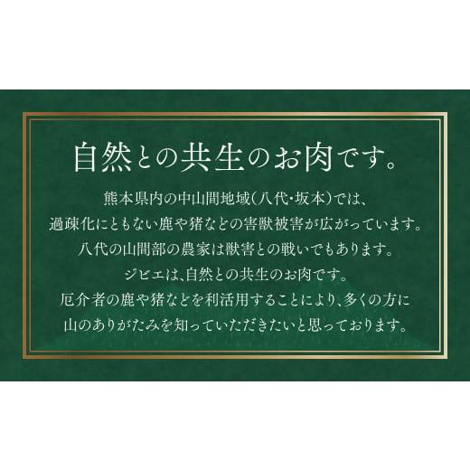 ふるさと納税 熊本県 八代市 猪肉 切り落とし 1.2kg（モモ・ウデ）400g×3 ボタン肉 いのしし