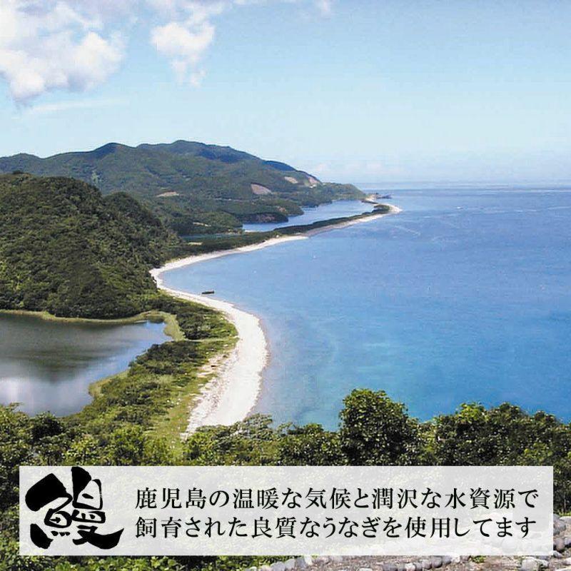 お歳暮 ウナギ 鹿児島県産 うなぎ 蒲焼き 2尾 刻みうなぎ2袋のセット