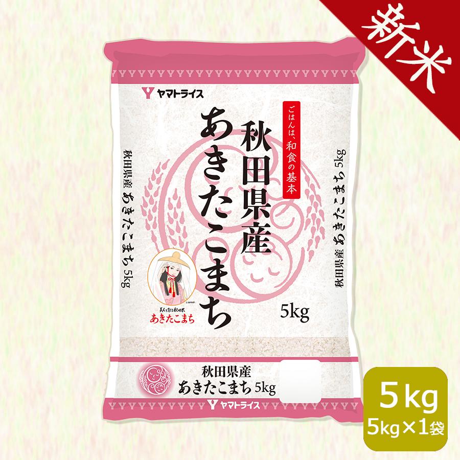 米 お米 5kg あきたこまち 秋田県産 白米 令和5年産