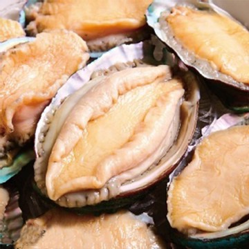 海鮮主義 生猛岩見鮑2盒組(330g/盒;6顆入/盒)