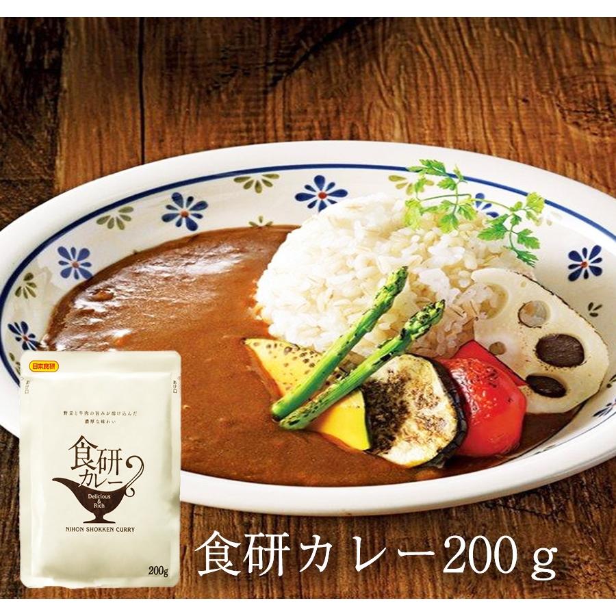 食研カレー 日本食研 200g×4袋 欧風ビーフカレー メール便 レトルト 買い置き 在宅 夜食