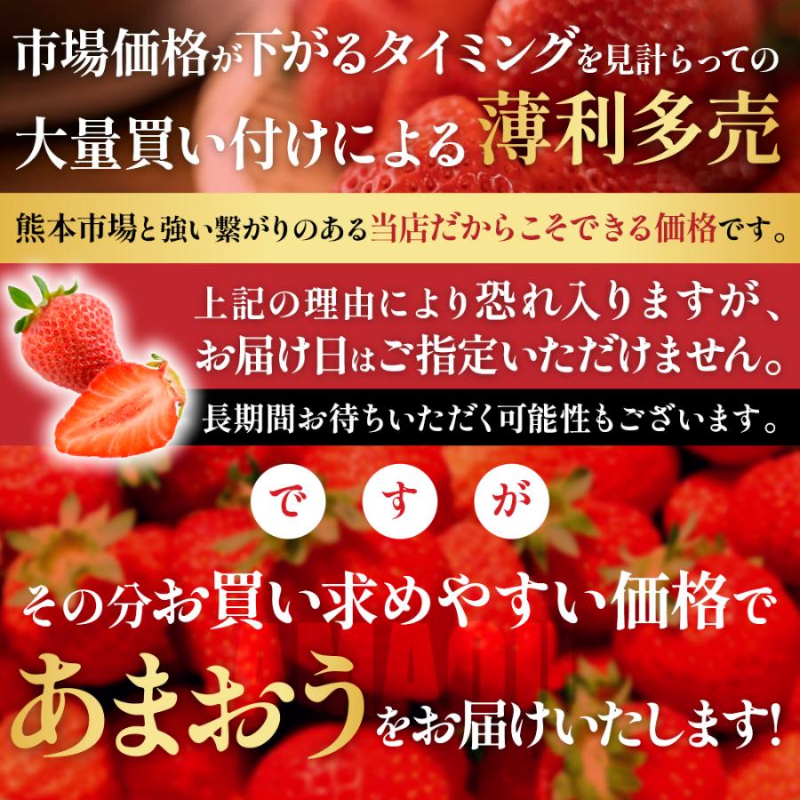 あまおう いちご 500g-1000g 福岡県産 イチゴ 秀品 ギフト 贈り物 プレゼント お祝い 果物 フルーツ 先行予約 クール便