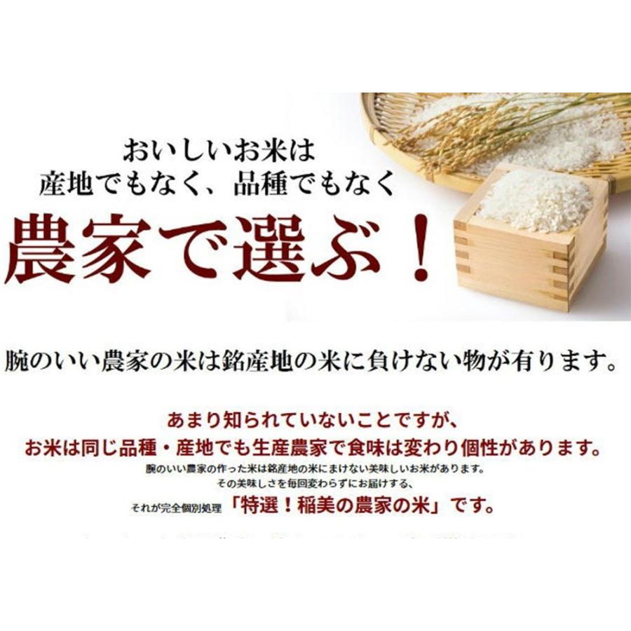 ＼新米入荷／ 米 玄米 5kg きぬむすめ 厳選農家 玄米 白米 選択可 令和5年兵庫県産 産地直送