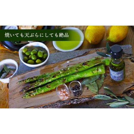 ふるさと納税 小豆島の朝採れアスパラ 『さぬきのめざめ』２Lサイズ１kg　配送期間：２月中旬〜５月中旬まで 香川県土庄町