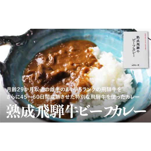 ふるさと納税 岐阜県 飛騨市 飛騨牛カレー　熟成肉　１０食セット