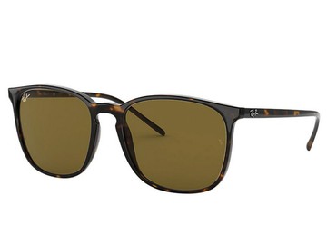 RAY BAN 亞洲版 舒適加高鼻翼 時尚太陽眼鏡 RB4387F 902/73 玳瑁框深茶鏡片 公司貨