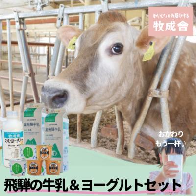 ふるさと納税 飛騨市 ＜明治30年創業の牛乳屋・牧成舎＞飛騨の低温殺菌牛乳ヨーグルトセット