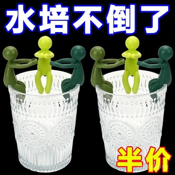 水培植物伴侶扶正固定魚缸植物辦公裝飾理綫園藝神器水培固定擺件🔥三月放送 HW91