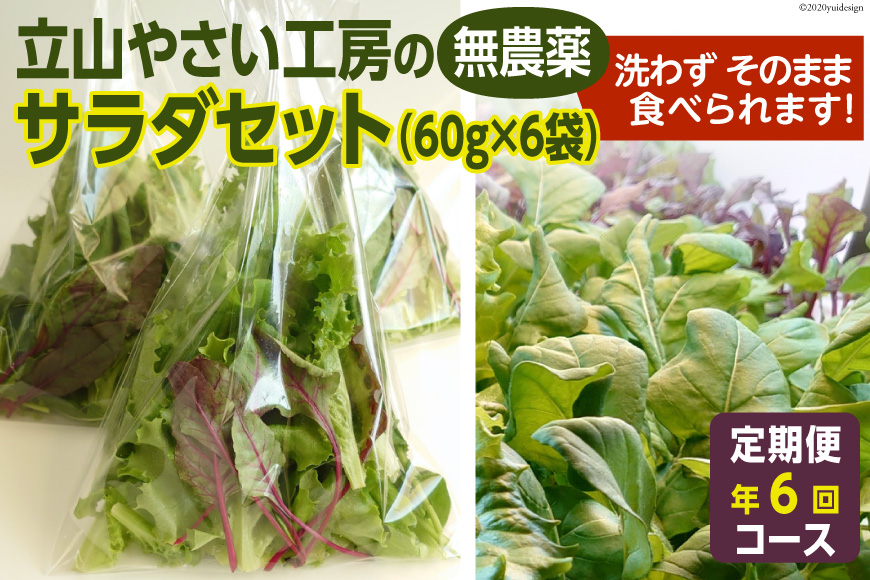 立山やさい工房のサラダセット（60g×6袋）の定期便年6回コース＜ホッコ―商事＞