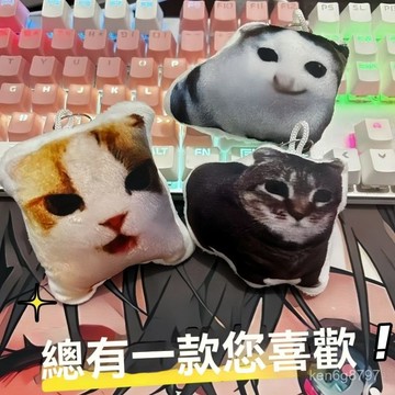 oiia貓發聲按鍵 旋轉貓 oiiai oiiai貓 貓 貓 meme 旋轉 貓迷因 旋轉貓咪 按鍵 9QTX
