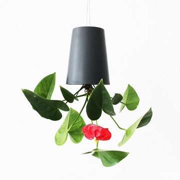 紐西蘭 boskke 天空之盆｜倒掛花器 Medium 12cm 2入組 - 沉黑